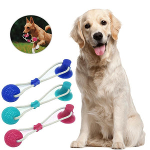 Dog Interactive Suction Cup Push Toys