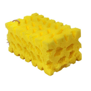 1PC Coral Car Washer Sponge