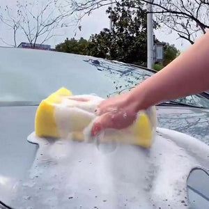 1PC Coral Car Washer Sponge